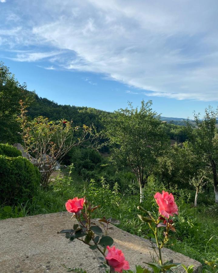 Vidikovac Bijelo Polje Hotel Eksteriør billede